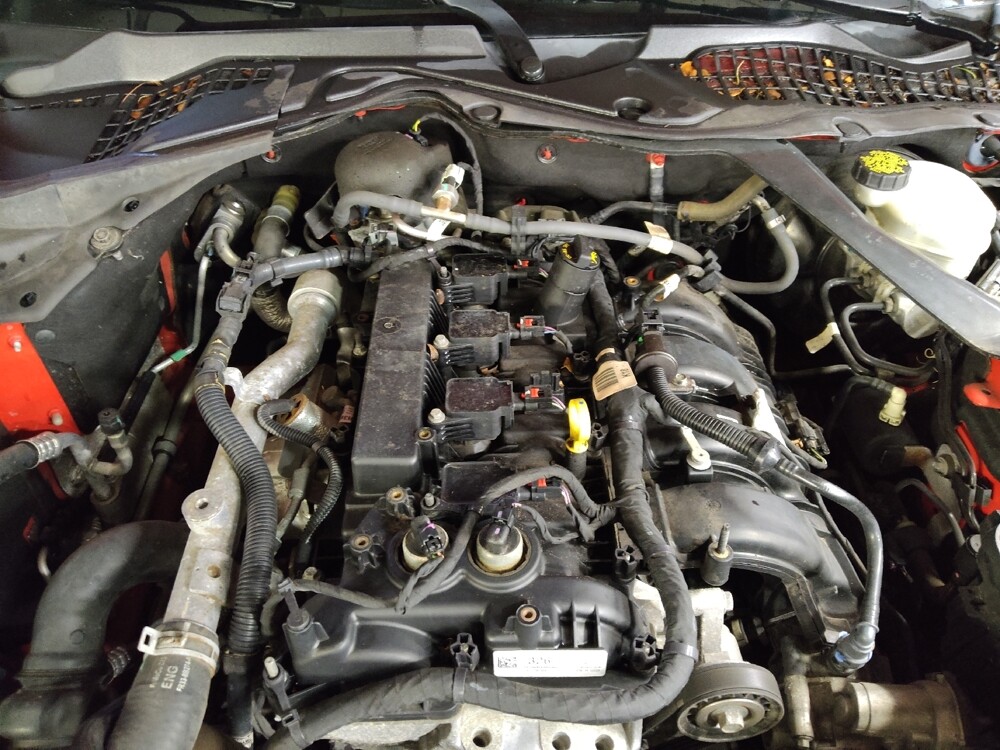 2017 Ford Mustang in Macon, GA 31210 - 18126746 30