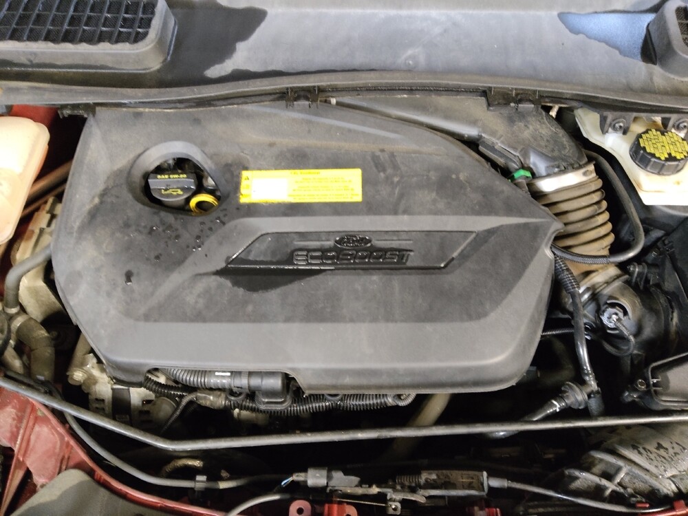 2015 Ford Escape in Charleston, SC 29414 - 18126825 30