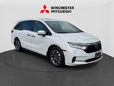2023 Honda Odyssey in Winchester, VA 22602