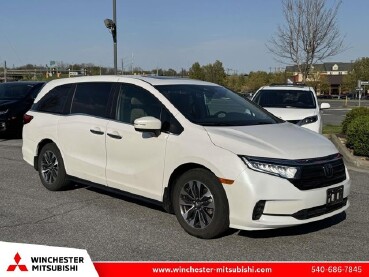 2023 Honda Odyssey in Winchester, VA 22602