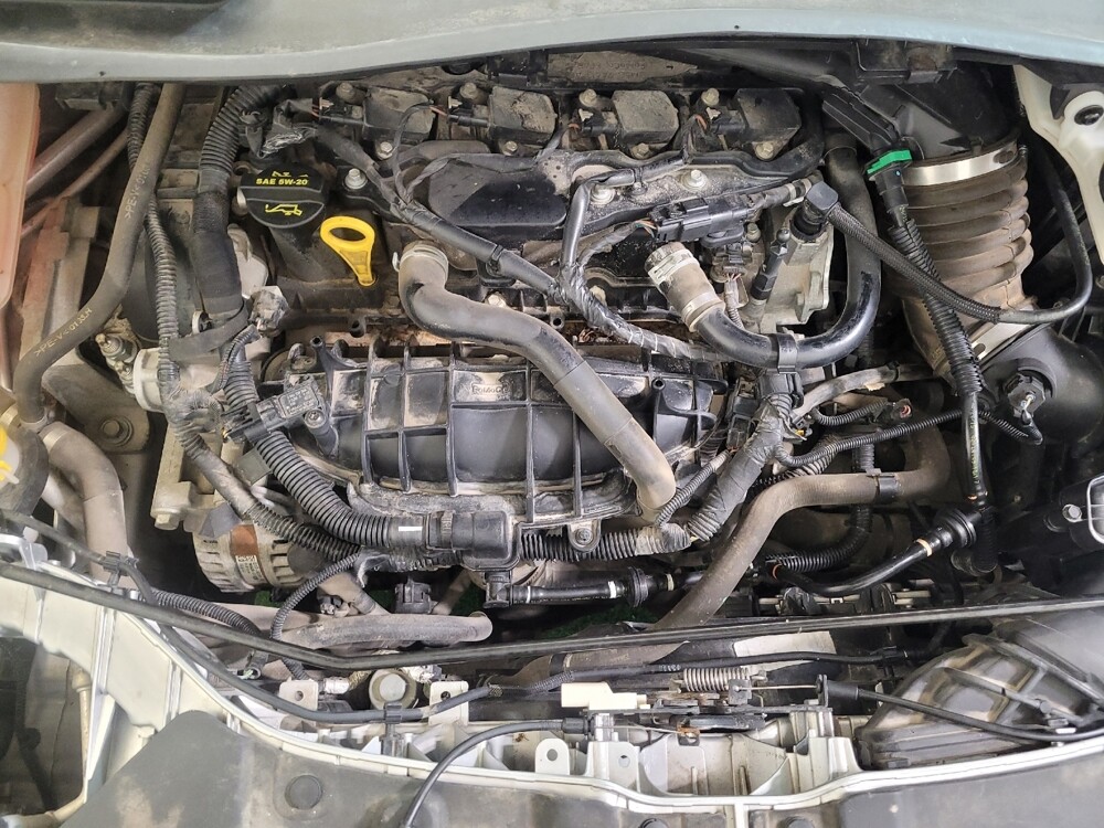 2015 Ford Escape in Lexington, KY 40509 - 18129873 30