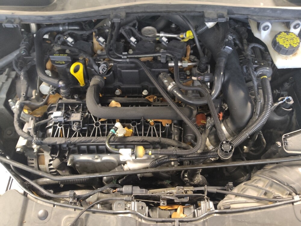 2019 Ford Escape in Houston, TX 77034 - 18130375 30