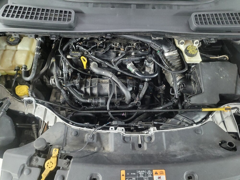 2014 Ford Escape in Knoxville, TN 37923 - 18130882 30