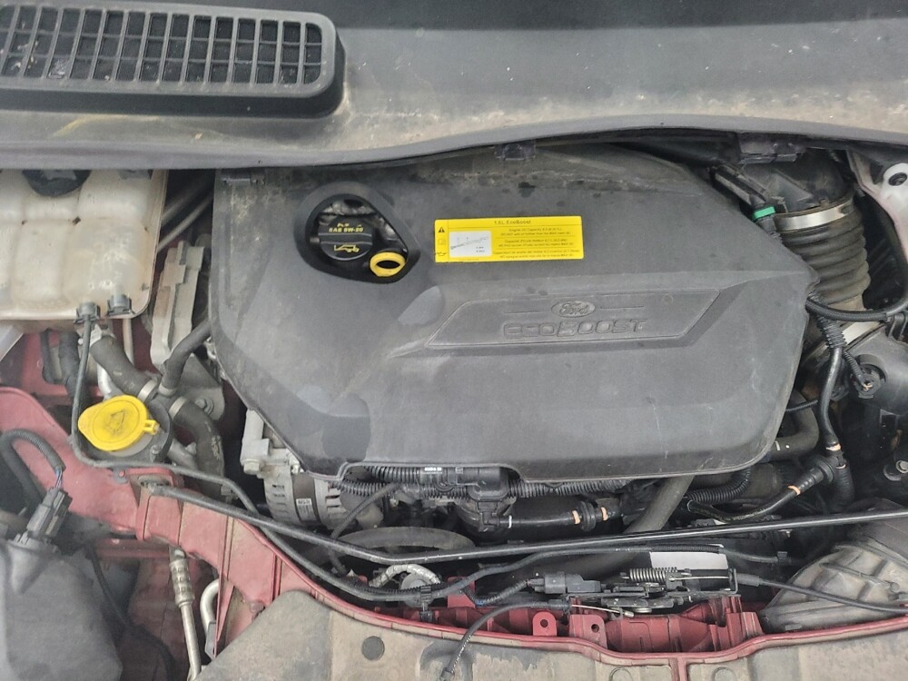 2016 Ford Escape in Memphis, TN 38128 - 18131176 30