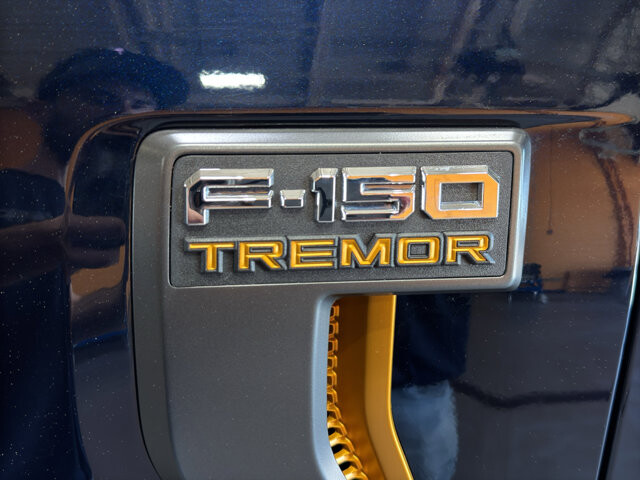 2025 Ford F150 in Burlington, WI 53105 - 18131902 10