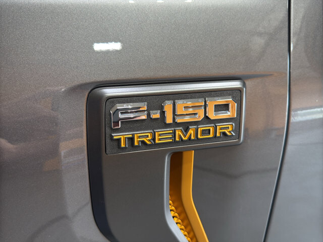 2025 Ford F150 in Burlington, WI 53105 - 18131911 38
