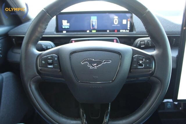 2021 Ford Mustang Mach-E in Decatur, GA 30032 - 18132528 19