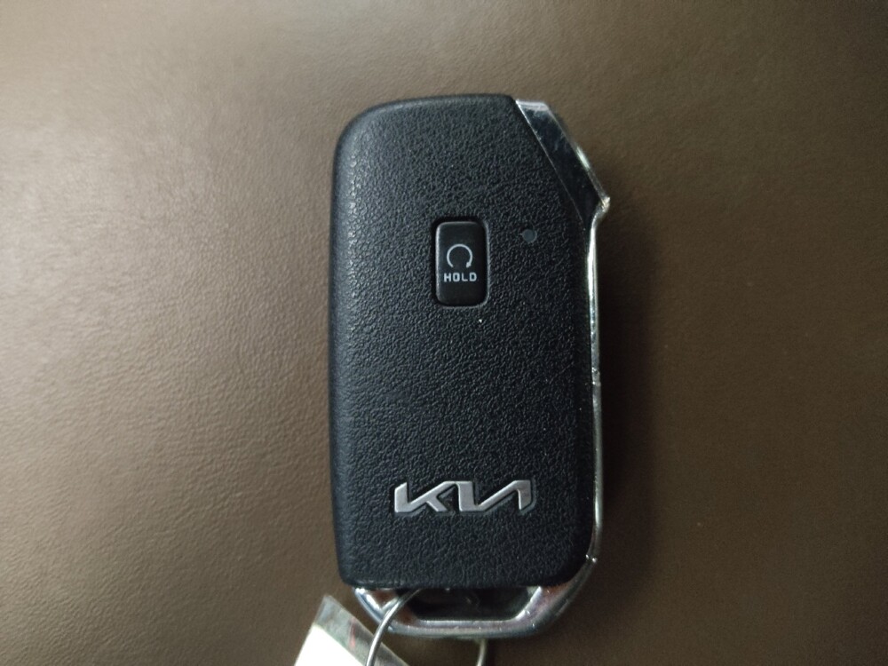 2022 Kia Telluride in Live Oak, TX 78233 - 18132597 32