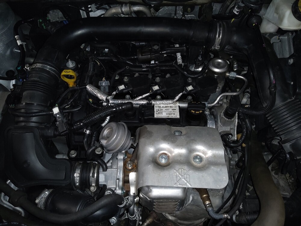 2019 Ford EcoSport in Jacksonville, FL 32225 - 18133295 30