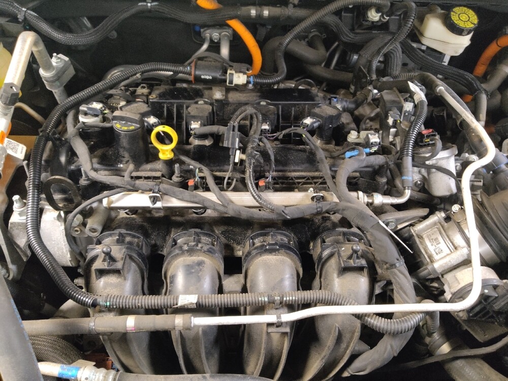 2020 Ford Escape in Charleston, SC 29414 - 18133997 30