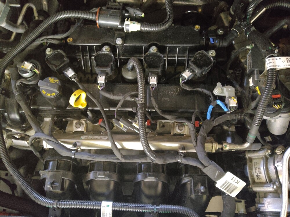 2021 Ford Escape in Greenville, SC 29607 - 18136887 30