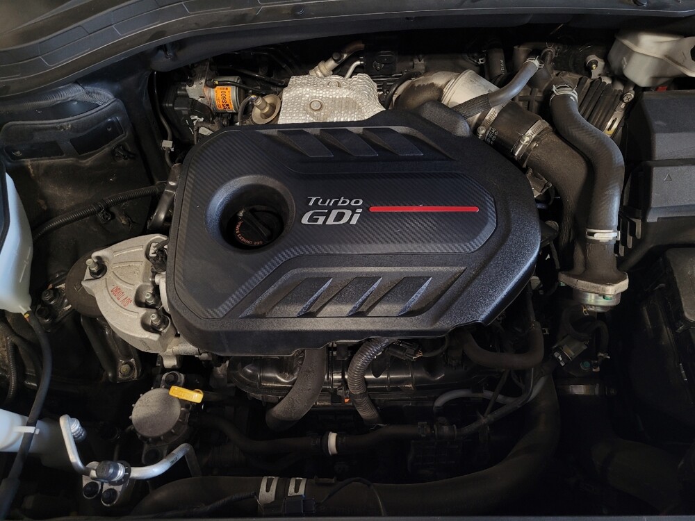 2019 Hyundai Santa Fe in Lauderdale Lakes, FL 33313 - 18141935 30