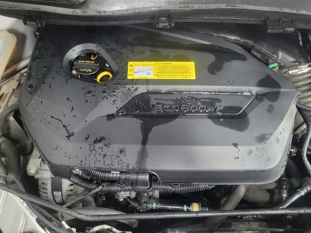 2016 Ford Escape in Conyers, GA 30094 - 18142096 30