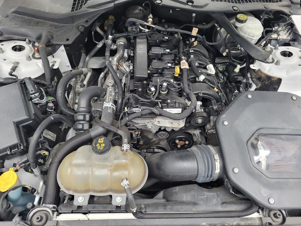 2019 Ford Mustang in Memphis, TN 38128 - 18142668 30