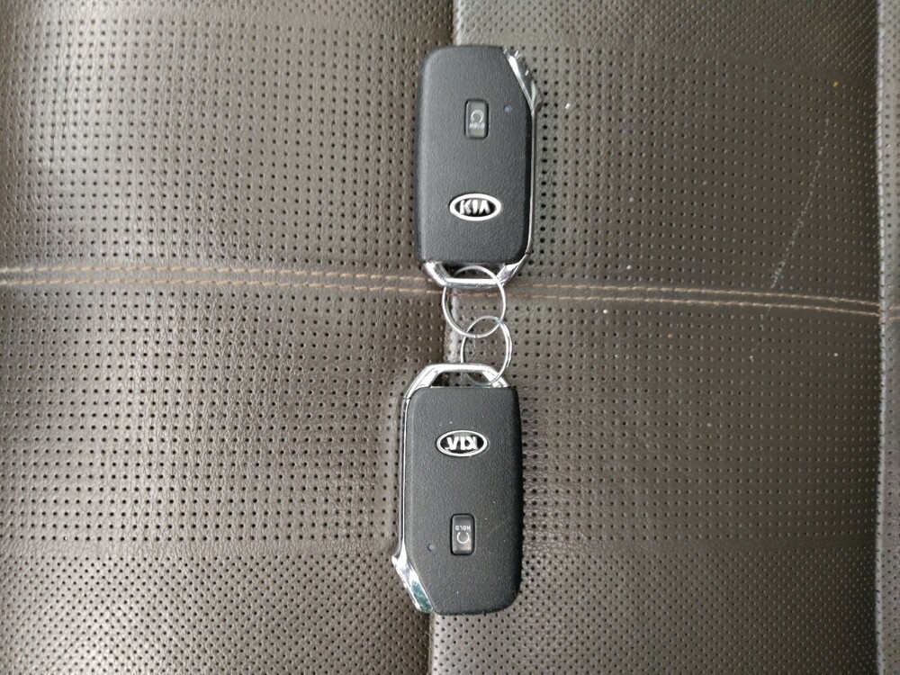 2021 Kia Telluride in St. Louis, MO 63136 - 18142728 32