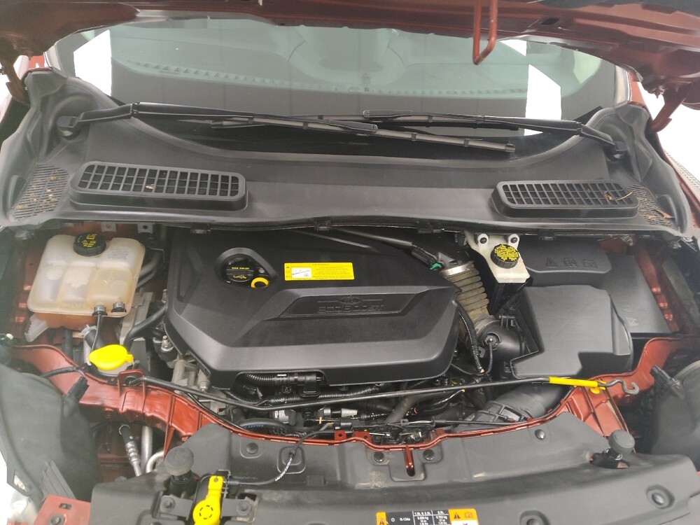 2016 Ford Escape in St. Louis, MO 63125 - 18143106 30