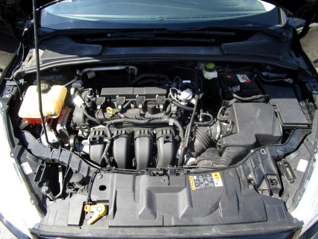 2017 Ford Focus in Tampa, FL 33604-6914 - 2039458 79