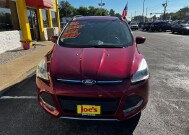 2014 Ford Escape in Indianapolis, IN 46222-4002 - 2060475 2