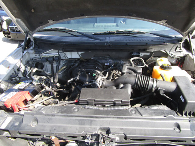 2014 Ford F150 in Tampa, FL 33604-6914 - 2069719 37