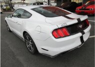 2016 Ford Mustang in Charlotte, NC 28212 - 2096562 4