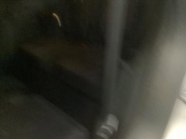 2019 Ford Explorer in Chicago, IL 60659 - 2233237 18