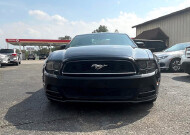 2014 Ford Mustang in Columbus, IN 47201 - 2238047 8