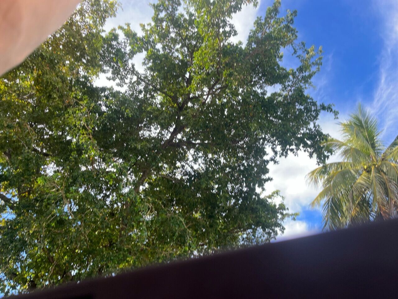 1985 Porsche 944 in Hollywood, FL 33023-1906 - 2283764 17