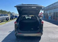 2019 Toyota RAV4 in Sebring, FL 33870 - 2285031 5
