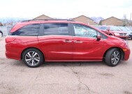 2022 Honda Odyssey in Colorado Springs, CO 80918 - 2316305 56