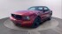 2006 Ford Mustang in Allentown, PA 18103 - 2322193
