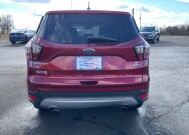 2017 Ford Escape in New Carlisle, OH 45344 - 2324104 4