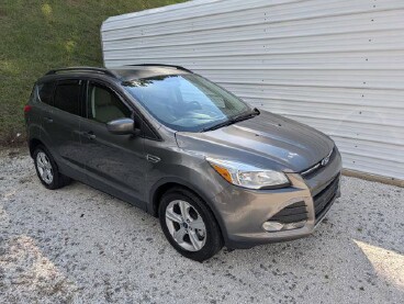 2014 Ford Escape in Candler, NC 28715