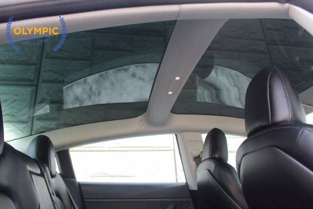 2018 Tesla Model 3 in Decatur, GA 30032 - 2386111 64