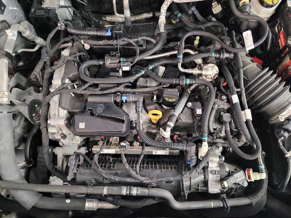 2020 Ford Escape in Tampa, FL 33619 - 2458995 30